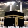 عبدالله حجازي's profile picture