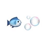 bluebluebao's profile picture