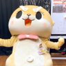 Pipulistic.Pipu's profile picture