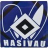 LordHaSiVau ◈ VuskovicSZN profil fotoğrafı