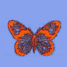Profilbild von Papillon 8I8