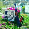 🇾🇪ابو محمد العمدي profil fotoğrafı