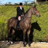 Mark @ HQ Equestrian 的头像