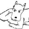 Profilbild von IrregularRhythm