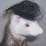 Chad King's profile picture