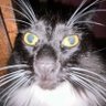 Profilbild von Aidan