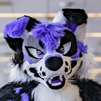 Gabe Collie!'s profile picture
