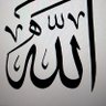 مالك الشبلي profil fotoğrafı