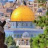 تغريدات بيت المقدس profil fotoğrafı