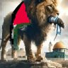 راشد الحجاحجة بني تعمر's profile picture