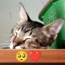 tiktik kwon profil fotoğrafı
