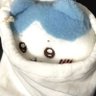%97's profile picture