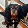 Daisy L. profil fotoğrafı