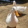 mia profil fotoğrafı