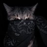 Ťrëvø☆'s profile picture