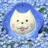 コロ's profile picture