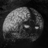 Brain from the Planet Arous's profile picture