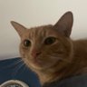 KC profil fotoğrafı