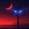 🌙🌴CarolinianGreen profil fotoğrafı