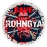 Stand With Rohingya profil fotoğrafı