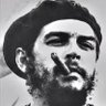 مواطن profil fotoğrafı