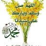 الله المستعان's profile picture