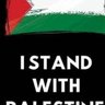Ahmet Demir's profile picture