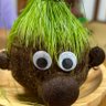 Profilbild von エリ