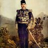 fani dünya's profile picture