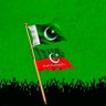 Sehrish Fatima's profile picture