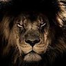 Profilbild von Freedom Tribe America