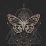 最牛逼的币是BTC's profile picture
