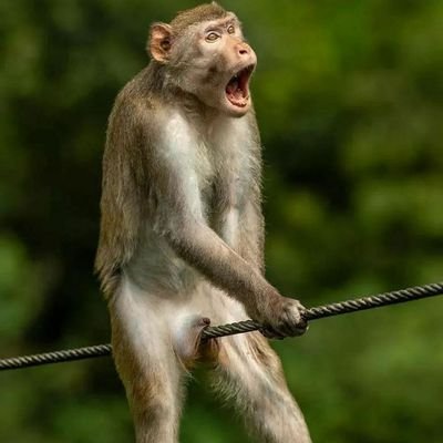 panaotis_'s profile picture