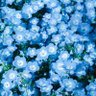 Kako's profile picture