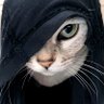 G A T O ....😼muy perro. 的头像
