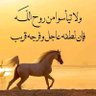 Profilbild von الدليمي