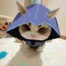 Фото профиля Captain Eggdog