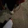 ذِكرى، أو شخص أخر . 的头像