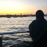 Cemile 🇵🇸🇹🇷's profile picture