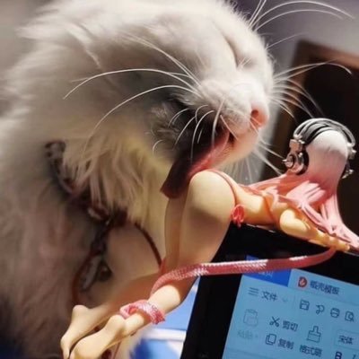 S音控王（Top男喘）'s profile picture