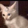 Profilbild von Sky