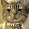 我不是cat's profile picture