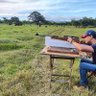 carlos soliman Nuñez's profile picture
