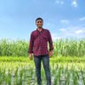 Mayank's profile picture
