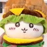 xixi55's profile picture