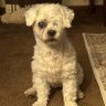 Bonnie profil fotoğrafı