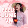 Feed June Vn's profile picture