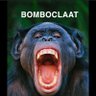 _BONOBO_'s profile picture