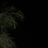 MJKA profil fotoğrafı