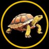 SimpleNSteady profil fotoğrafı